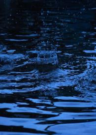 春风雨(纯百) 春风雨(纯百)